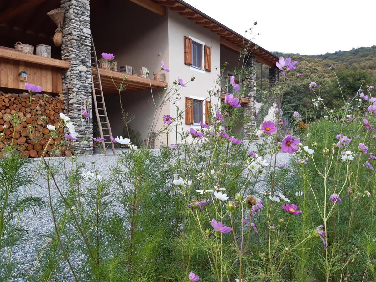 Semi Al Vento: La Bio-Casa Nel Giardino Incantato! Apartment Paesana Exterior photo